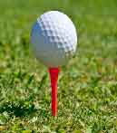 Subliminal Golf Course Management